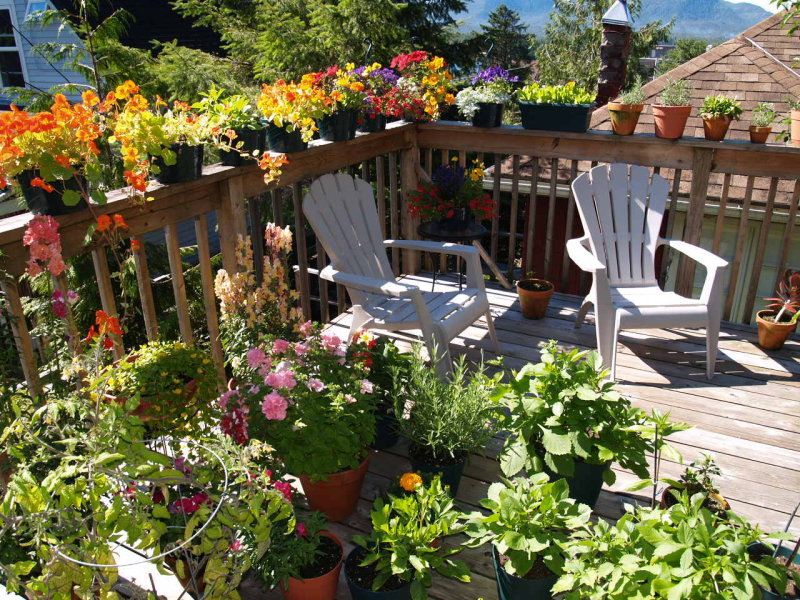 deck garden